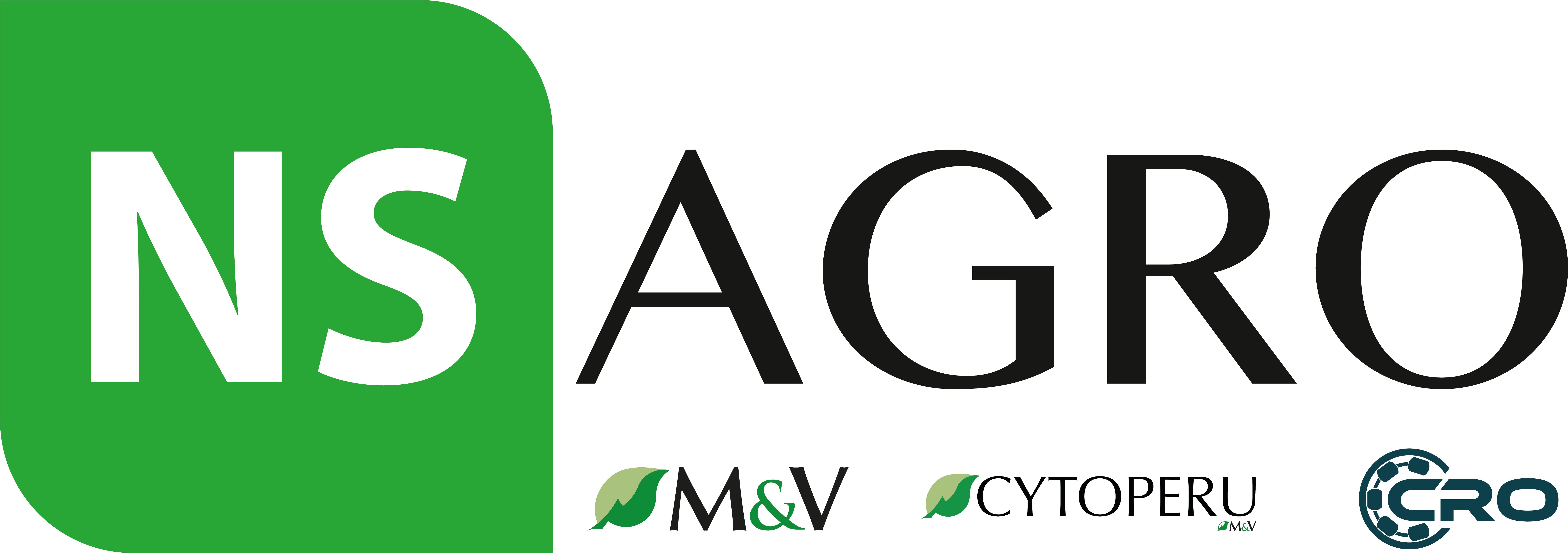 Logo Cliente NSAGRO